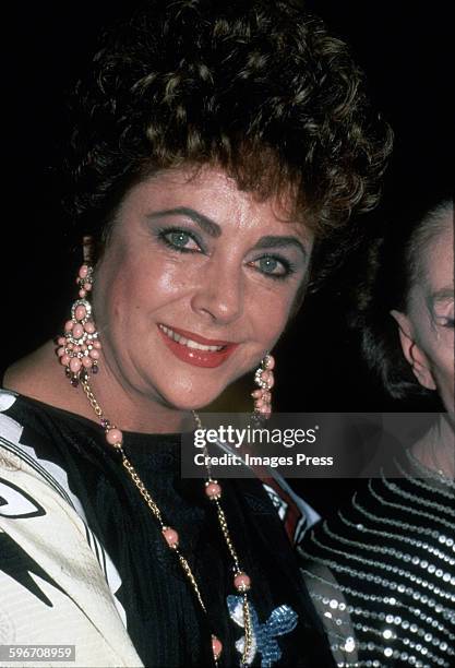 Elizabeth Taylor attends the Opening Night Gala of the Martha Graham Dance Companys 3-week season of performances at the State Theater at Lincoln...