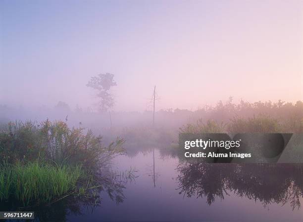 morning fog in late summer over river - ホワイトアッシュ ストックフォトと画像