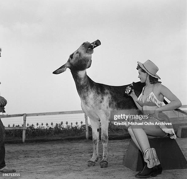 Betty Ames and her donkey Jackson drink from a bottle in Los Angeles,California.