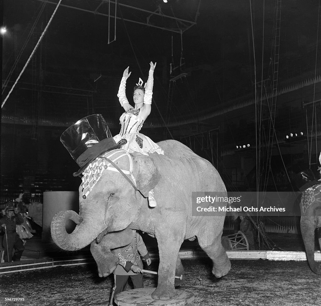 Ringling Bros. and Barnum & Bailey Circus