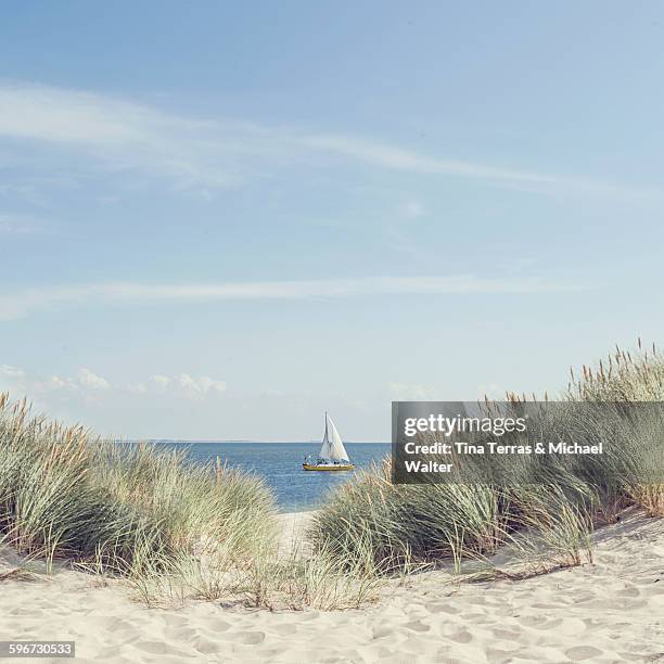 on the island of sylt - north sea stock pictures, royalty-free photos & images