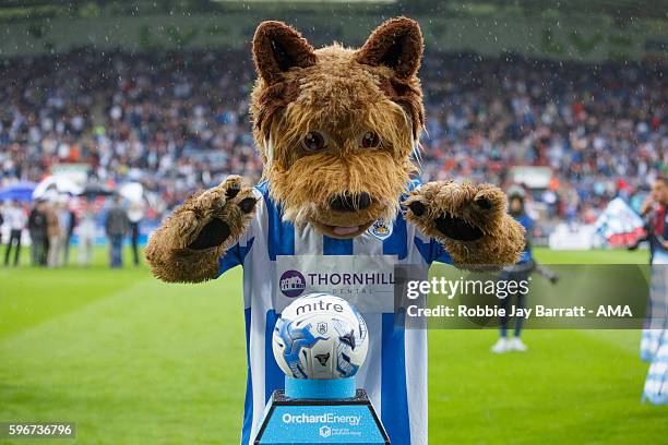 Terry The Terrier mascot of Huddersfield Townduring the Sky Bet Championship match between Huddersfield Town and Wolverhampton Wanderers at John...