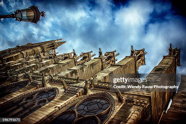 notre dame de paris, france - rauw stock pictures, royalty-free photos & images