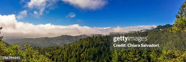 marin headlands view - marin headlands stock pictures, royalty-free photos & images