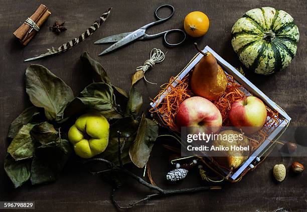 autumn still life - pumpkin still life stock pictures, royalty-free photos & images