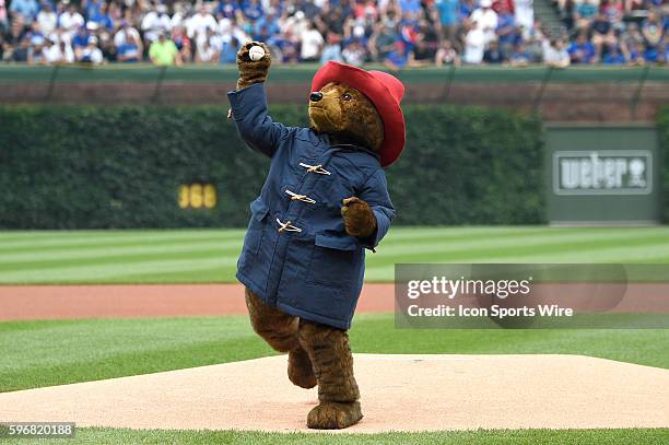 Paddington Bear, throwing a ceremonial pitch prior to the start of a MLB game between the Chicago Cubs and the Los Angeles Dodgers at Wrigley...