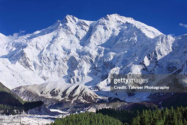 view of nanga parbat - nanga parbat - fotografias e filmes do acervo