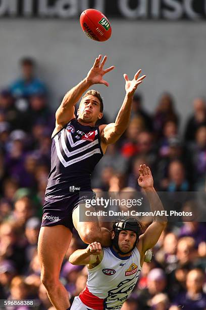 Stephen Hill of the Dockers flies for a mark during the 2016 AFL Round 23 match between the Fremantle Dockers and the Western Bulldogs at Domain...