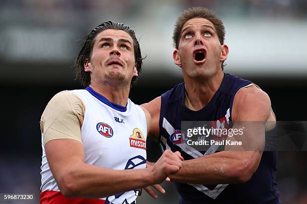 Tom Boyd of the Bulldogs and Aaron Sandilands of the Dockers contest the ruck during the round 23 AFL match between the Fremantle Dockers and the...
