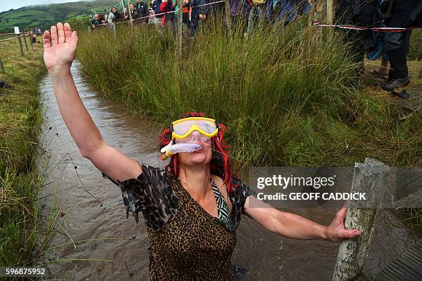 Man dressed as a cavewoman celebrates after completing the course during the World Bog Snorkelling Championships in Waen Rhydd peat bog at Llanwrtyd...