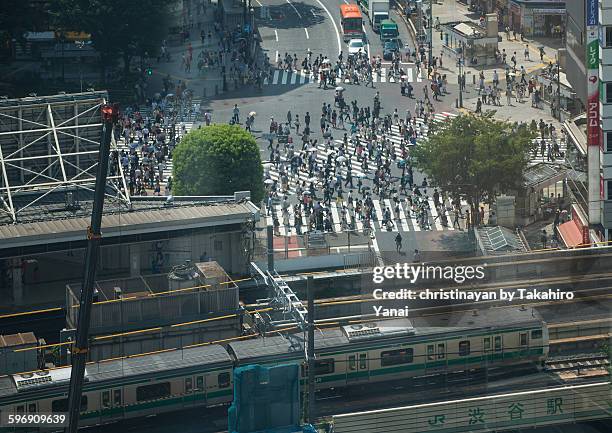 shibuya crossing - christinayan stock pictures, royalty-free photos & images