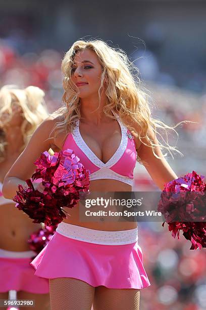 Buccaneers cheerleader entertains the fans during the regular season game between the Jacksonville Jaguars and the Tampa Bay Buccaneers at Raymond...