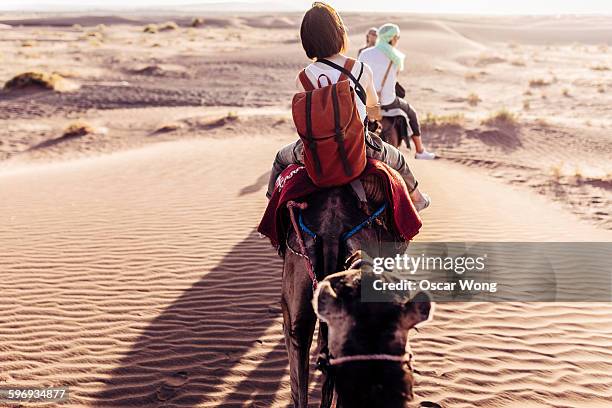 rear view of people riding camels in desert - camel foto e immagini stock