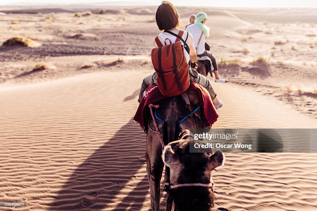 Rear view of people riding camels in desert