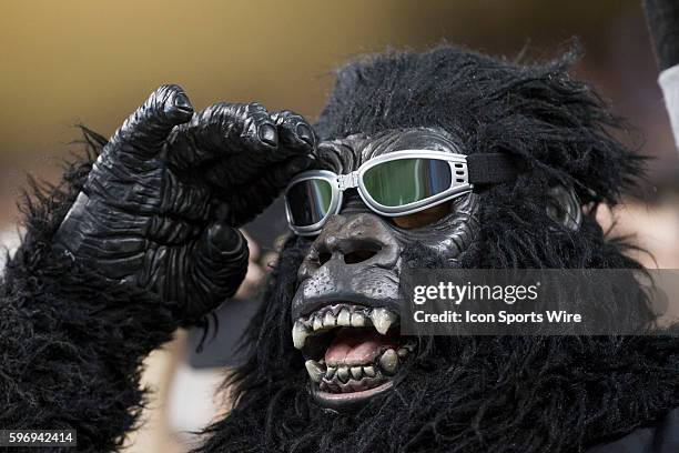 3,203 Rilla Stock Photos, High-Res Pictures, and Images - Getty Images