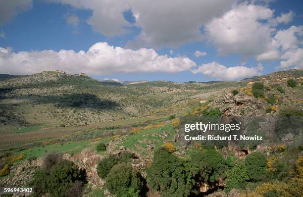 golan heights - golanhöhen stock-fotos und bilder