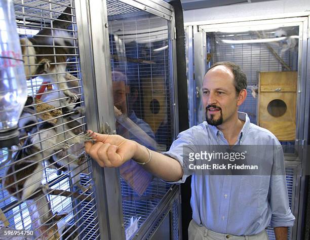 Professor Marc Hauser, a Harvard University psychology professor photographed with the monkeys he uses in his research at his lab at Harvard...