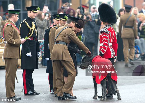 Prince William, Duke of Cambridge and Catherine, Duchess of Cambridge, wearing a bespoke Catherine Walker coat, attending the Irish Guards' St....