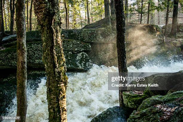 fast water - kerry estey keith stock pictures, royalty-free photos & images