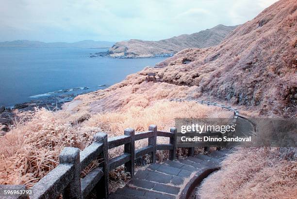 Bitou 58 Bitou Stock Photos, High-Res Pictures, and Images - Getty Images
