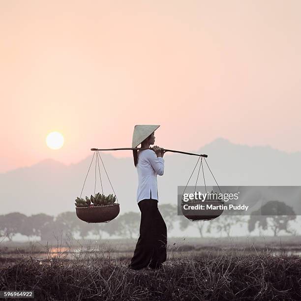 young vietnamese woman carrying bananas - hanoi sunrise stock pictures, royalty-free photos & images