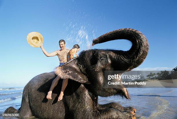 tourists elephant riding in sri lanka - sri lanka elephant stock pictures, royalty-free photos & images