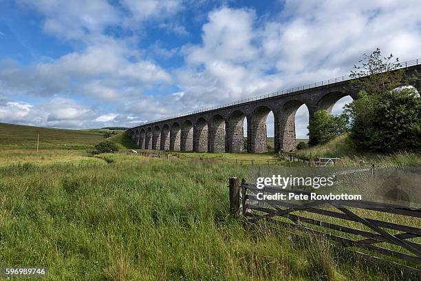 abandoned viaduct - scottish borders stock pictures, royalty-free photos & images