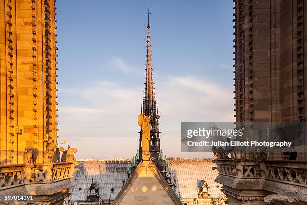 notre dame cathedral in the city of paris. - notre dame stock pictures, royalty-free photos & images