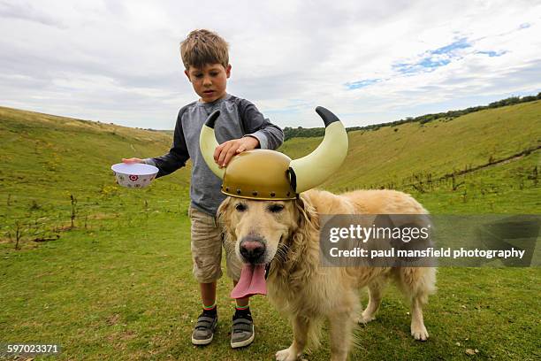 dog wearing viking helmet with boy - viking helmet stock-fotos und bilder