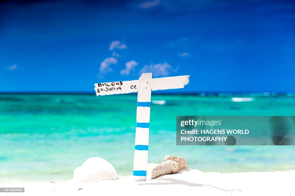 Turtle nest on beach