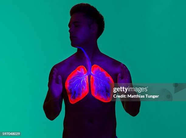 lung of a man - lungs stock pictures, royalty-free photos & images