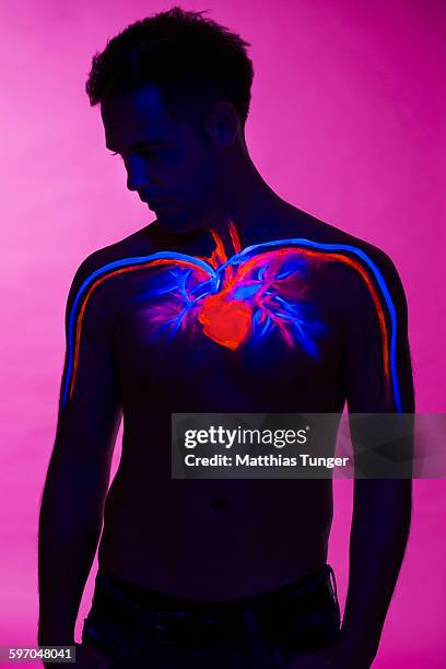 heart painted on a torso of a man - bloedcirculatie stockfoto's en -beelden