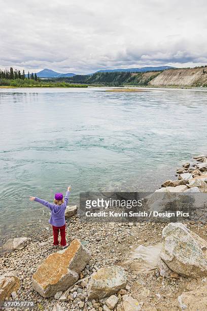 young girl playing along the bank of the yukon river, whitehorse, yukon territory, canada, summer - rio yukon - fotografias e filmes do acervo