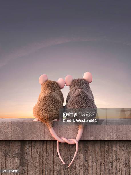 bildbanksillustrationer, clip art samt tecknat material och ikoner med two mice in love watching sunset, sitting on wall - två djur