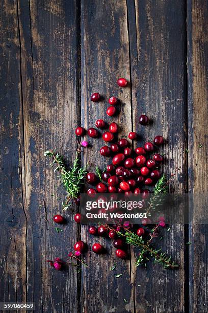 fresh cranberries and heather on dark wood - cramberry stock-fotos und bilder