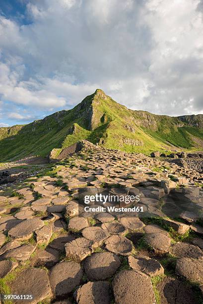 united kingdom, northern ireland, county antrim, view of causeway coast, giant's causeway - giant's causeway stockfoto's en -beelden