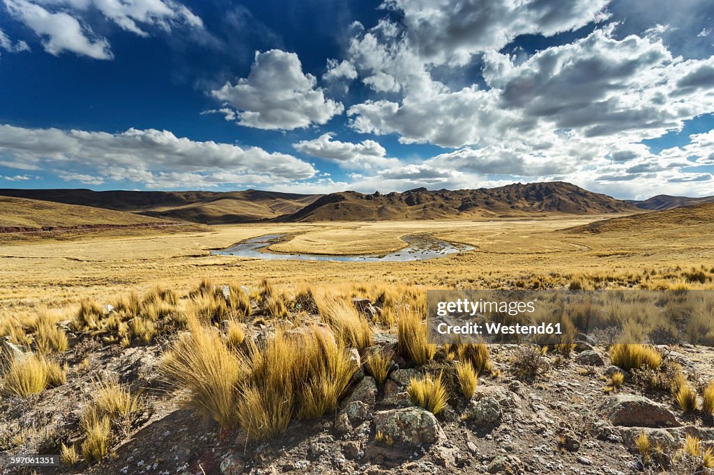 Peru, Arequipa, Altiplano, Pasto Grande