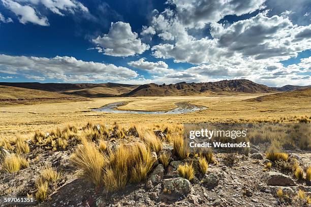 peru, arequipa, altiplano, pasto grande - altiplano bildbanksfoton och bilder