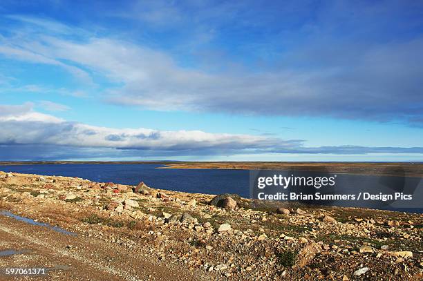 tundra and the arctic ocean - cambridge bay stock pictures, royalty-free photos & images