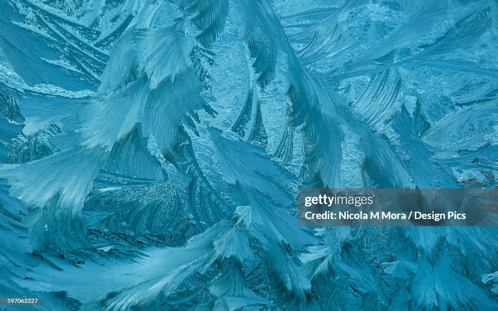Ice patterns formed on glass after a hard frost