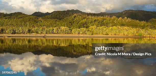 reflections on a tidal creek at rapahoe beach at sunset - nickola beck stock pictures, royalty-free photos & images