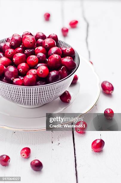 bowl of fresh cranberries - cranberry stock pictures, royalty-free photos & images