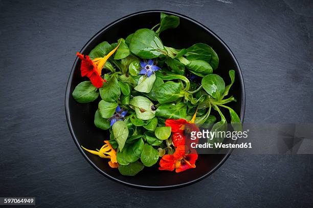 bowl of lamb's lettuce with blossoms of borage and indian cress - nasturtium stockfoto's en -beelden