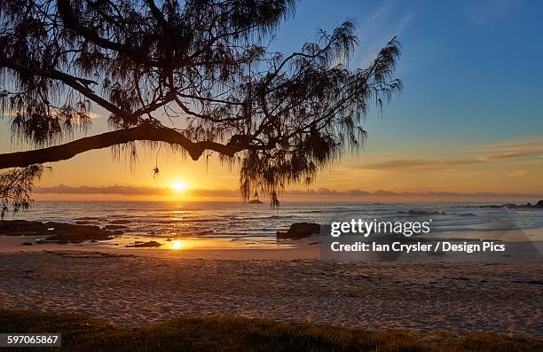 sunrise on the town beach - port macquarie stock pictures, royalty-free photos & images