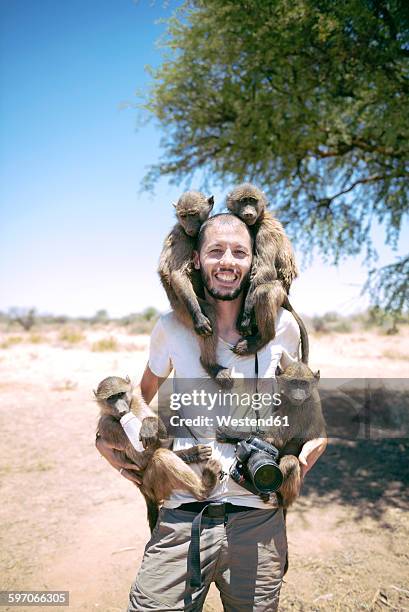 namibia, man with camera holding four baby baboons - male baboon stock pictures, royalty-free photos & images