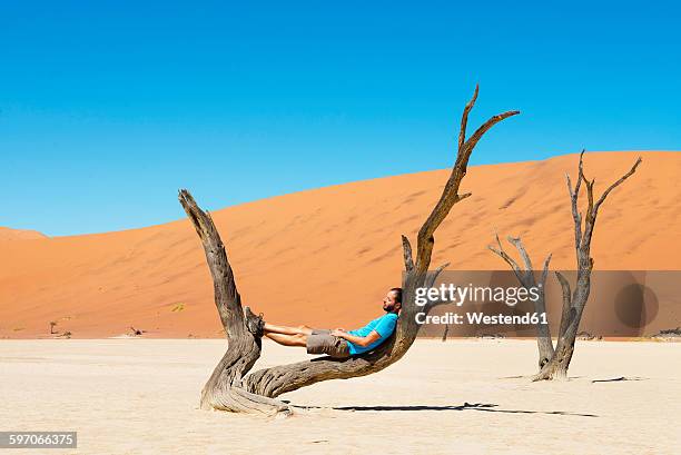 namibia, namib desert, man resting on dead tree in deadvlei - sossusvlei stock pictures, royalty-free photos & images