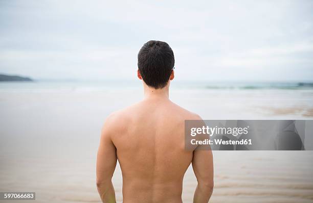 spain, galicia, ferrol, shirtless man looking on the sea - tronco nu imagens e fotografias de stock