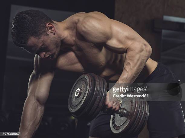 athlete with dumbbells, training of back muscles - krafttraining stock-fotos und bilder