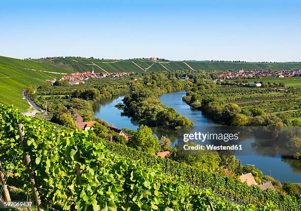 germany, lower franconia, vineyard near escherndorf and nordheim - franconia stock pictures, royalty-free photos & images