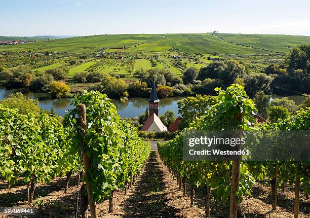 germany, lower franconia, vineyard near kohler with view of chapel and kreuzberg hill in background - franconie stockfoto's en -beelden